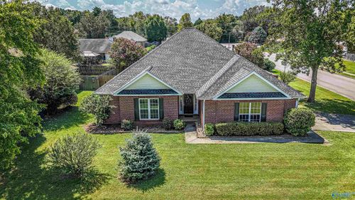 117 Park Stone Drive, Madison, AL, 35758 | Card Image