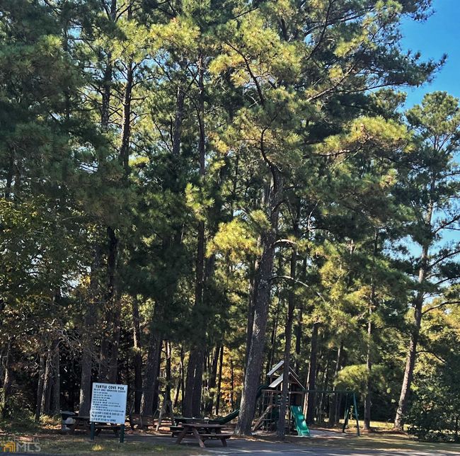 312 Turtle Cove Trwy, House other with 3 bedrooms, 2 bathrooms and null parking in Monticello GA | Image 35