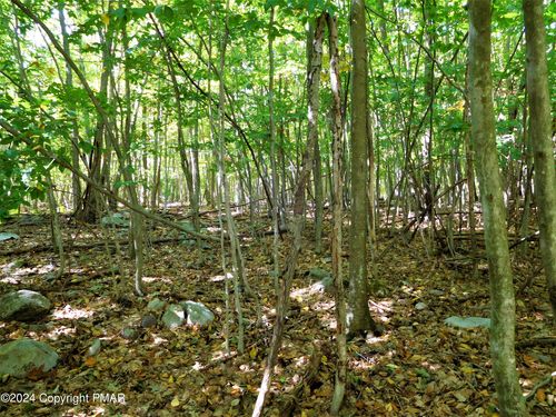 1092 Country Club Dr, Thornhurst, PA, 18424 | Card Image