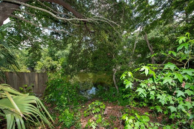 View of Lagoon From Rear Yard | Image 40