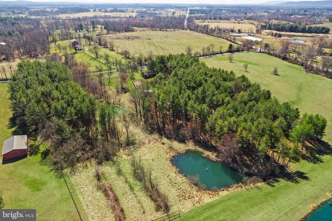 38956 Rickard Rd, House other with 3 bedrooms, 3 bathrooms and null parking in LOVETTSVILLE VA | Image 6