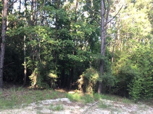 272 Artesian, Home with 0 bedrooms, 0 bathrooms and null parking in Onalaska TX | Image 8