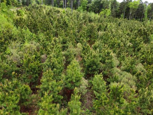 TBD County Road 3111 N, Kilgore, TX, 75662 | Card Image