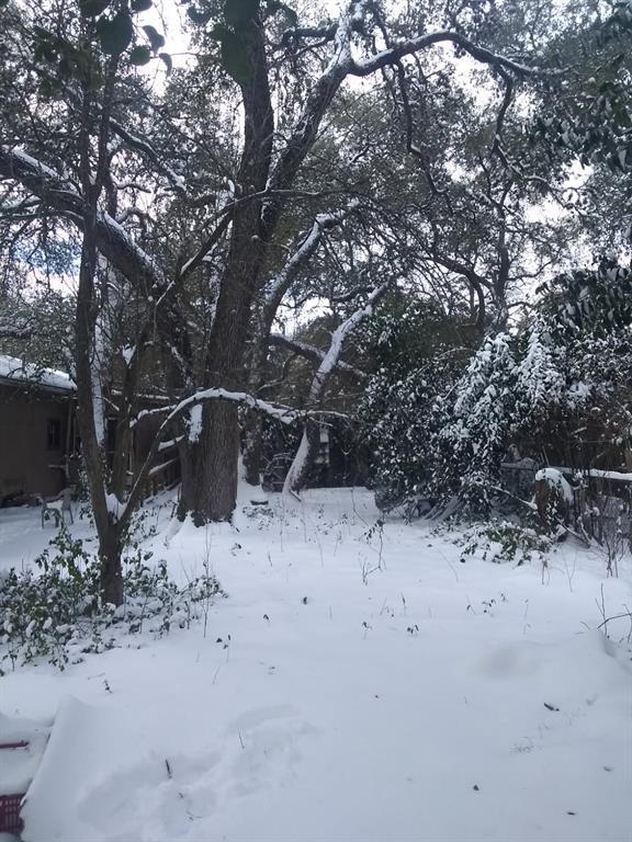 Land in Austin 3