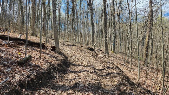 TRACT-1-PIKE-LAKE-GETAWA - 0 Pike Lake Rd, Home with 0 bedrooms, 0 bathrooms and null parking in Bainbridge OH | Image 5
