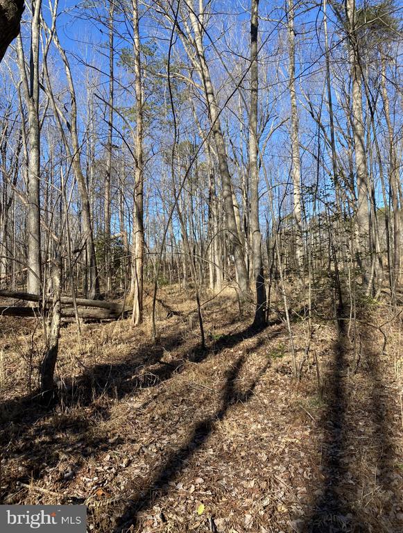 Land in LOUISA 3