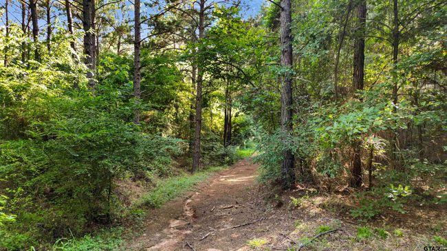 TBD 17.57 ACRES Fm 2274, Home with 1 bedrooms, 1 bathrooms and null parking in Troup TX | Image 16
