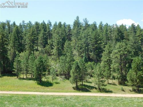 4668 Comanche Dr, Larkspur, CO, 80118 | Card Image