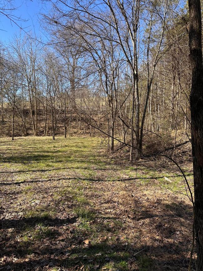 265 - 24265 S Mohawk Rd, Home with 0 bedrooms, 0 bathrooms and null parking in Mohawk TN | Image 42