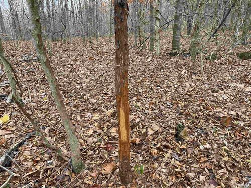 000 Ragan Rd, Eddyville, IL, 62928 | Card Image