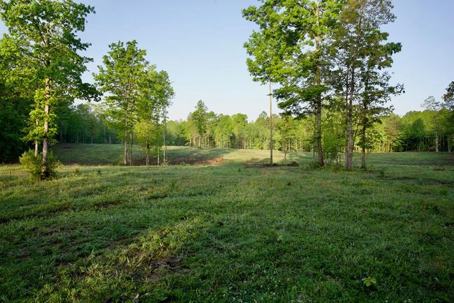 40.46AC Barker Cove Loop, Home with 1 bedrooms, 1 bathrooms and null parking in Palmer TN | Image 52