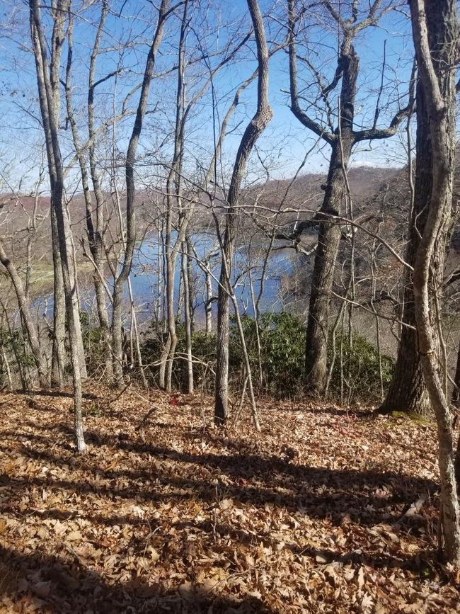 14224 Mud Fork Road, Home with 0 bedrooms, 0 bathrooms and null parking in Falls Mills VA | Image 25