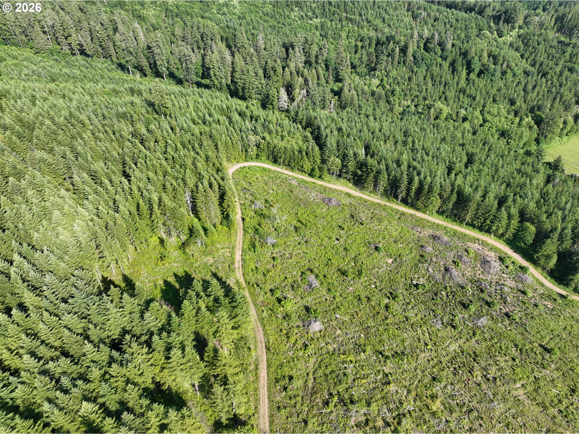 Land in Amboy 5