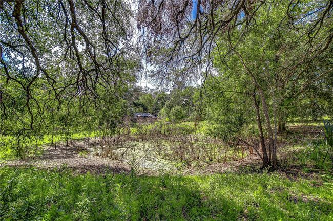 man made pond | Image 37