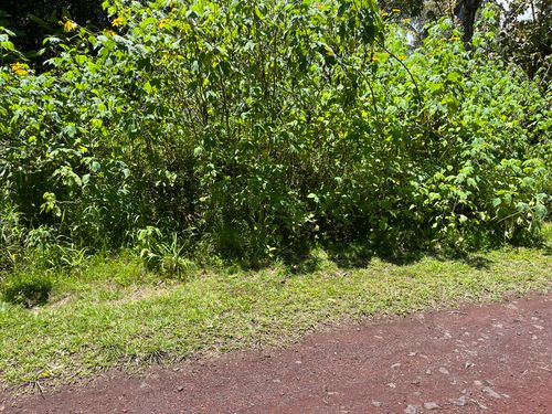 12-543 Kapoho St, PAHOA, HI, 96778 | Card Image