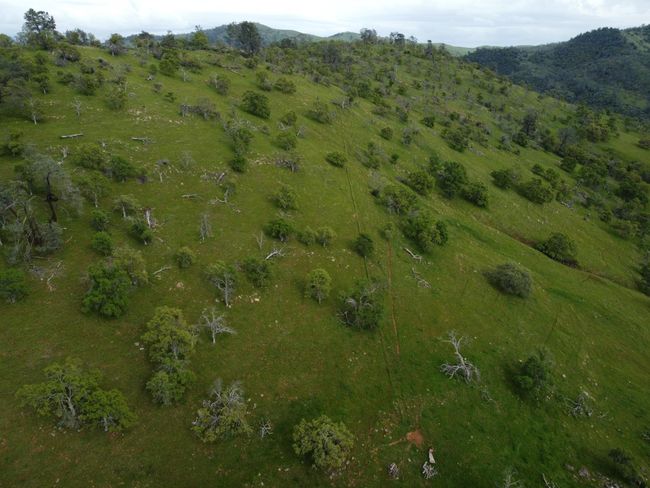 0 Old Hwy, Home with 0 bedrooms, 0 bathrooms and null parking in Catheys Valley CA | Image 15