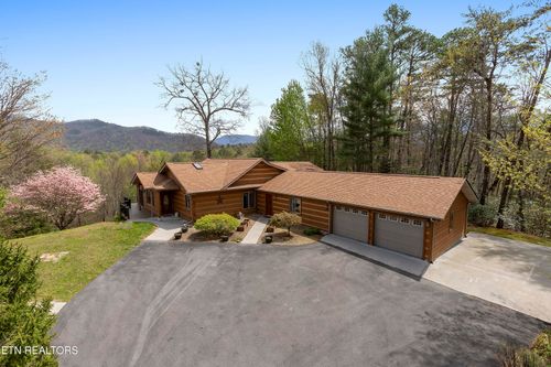 427 Gold Rd, Cosby, TN, 37722-4400 | Card Image