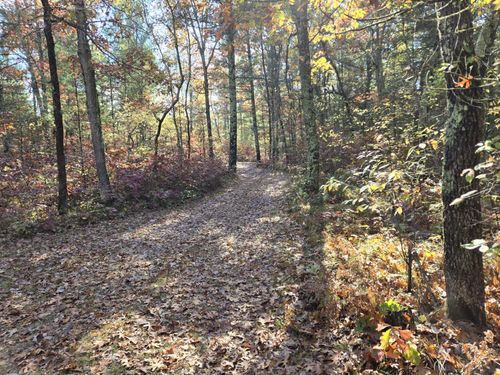 V/L W Coolidge, Bitely, MI, 49309 | Card Image