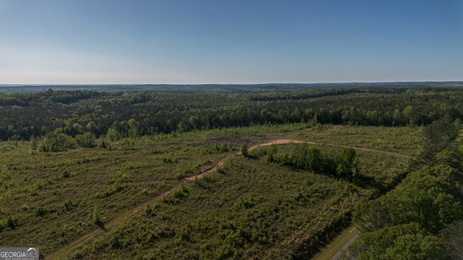 949 Marion Ripley Rd, Home with 0 bedrooms, 0 bathrooms and null parking in Dry Branch GA | Image 19