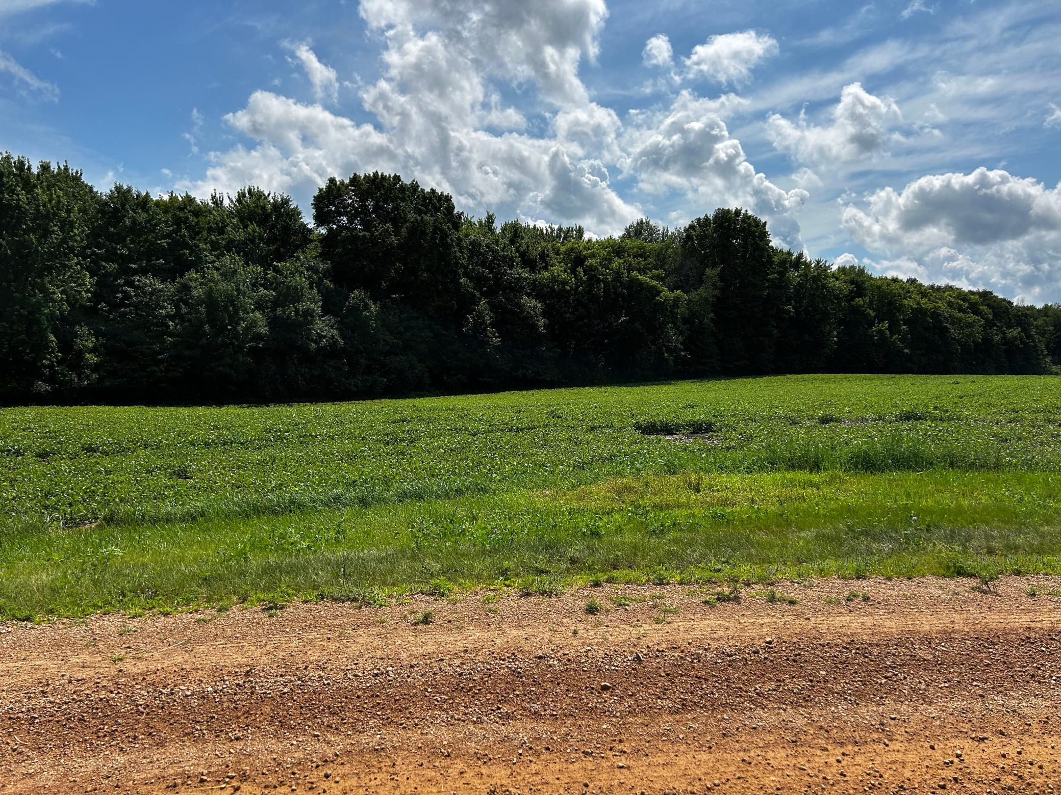 Land in Chaska