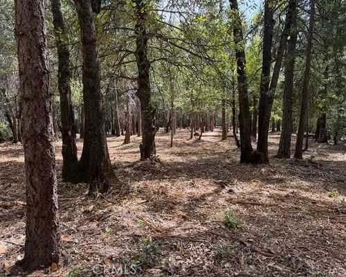 0 Platt Mountain Road, Forest Ranch, CA, 95942 | Card Image