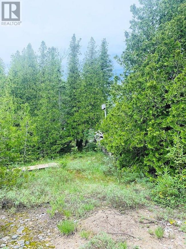 715 Lake Huron Dr, Home with 0 bedrooms, 0 bathrooms and null parking in Spring Bay ON | Image 14