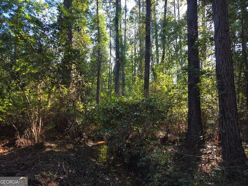 0 Waldon Way, Adrian, GA, 31002 | Card Image