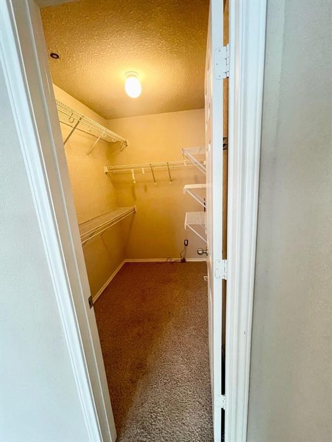 Spacious closet featuring carpet | Image 14