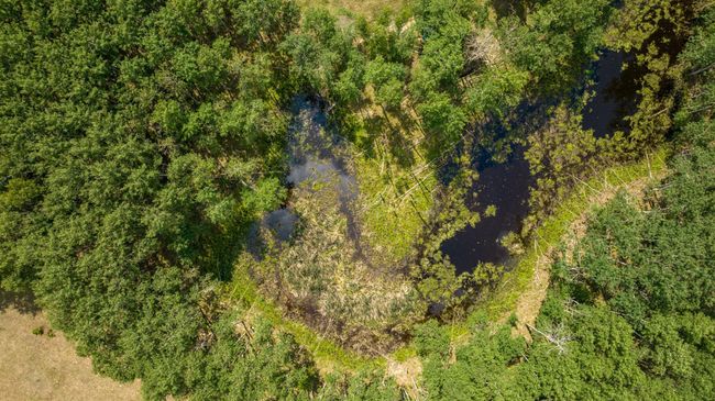 38519 Cass Line Rd, House other with 3 bedrooms, 3 bathrooms and null parking in Sebeka MN | Image 78