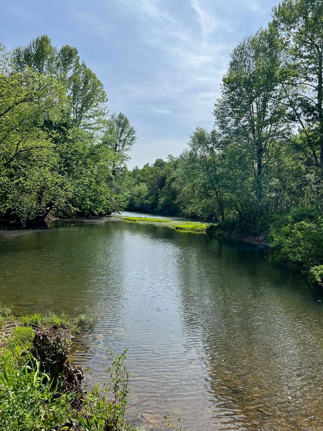 00 Silver Maple Rd, Home with 0 bedrooms, 0 bathrooms and null parking in Bee Branch AR | Image 6