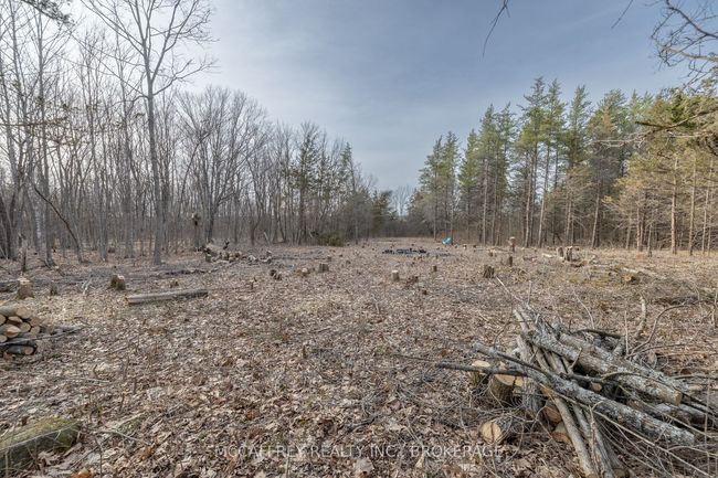 PT 11 Meach Rd, Home with 0 bedrooms, 0 bathrooms and null parking in Greater Napanee ON | Image 6