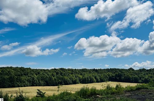 Parcel 2 E Horn Road, Lake Leelanau, MI, 49653 | Card Image