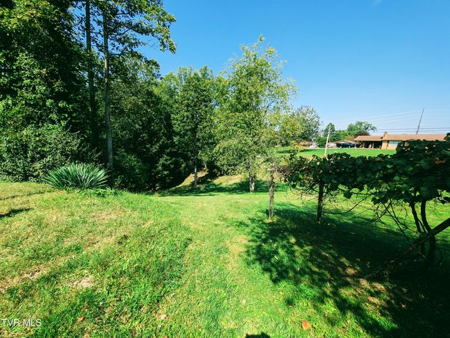 2509 Dc Caney Ridge Rd, House other with 3 bedrooms, 2 bathrooms and null parking in Clintwood VA | Image 29