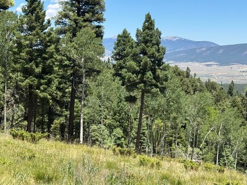 Lot 106 Zia Rd, Angel Fire, NM, 87710-8308 | Card Image