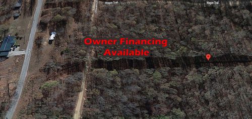 39 Placer Cv, Williford, AR, 72482 | Card Image