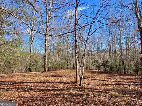 17.8AC Frogtown Road, Dahlonega, GA, 30533 | Card Image