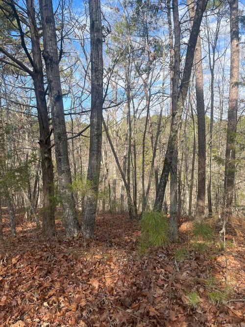 000 E Lakeside Drive Ter, Fairfield Bay, AR, 72088 | Card Image