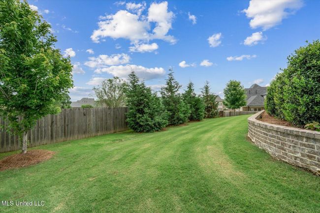 Rear Yard | Image 50