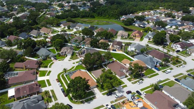 28826 Windover St, House other with 4 bedrooms, 2 bathrooms and null parking in WESLEY CHAPEL FL | Image 72