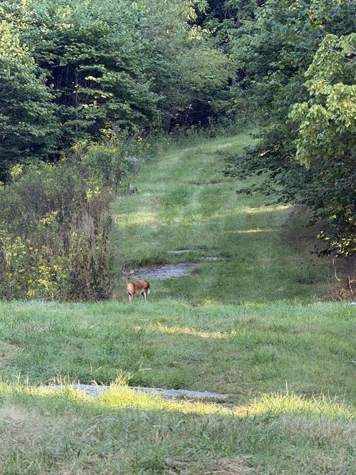 TBD Caney Valley Rd, Bristol, VA, 24202 | Card Image