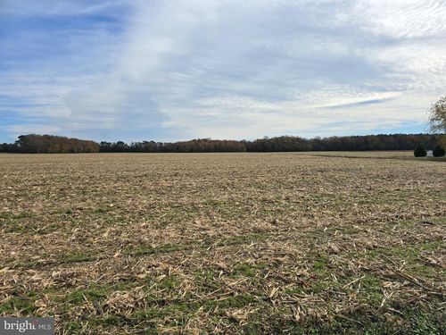 0 Richardson Rd, WILLARDS, MD, 21874 | Card Image