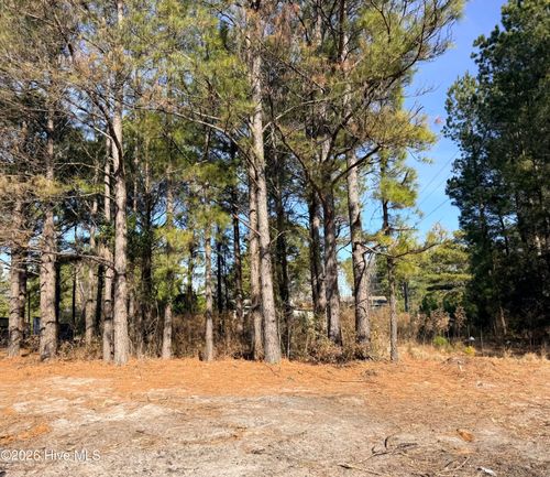Lot 21 Branch Dr, Burgaw, NC, 28425 | Card Image