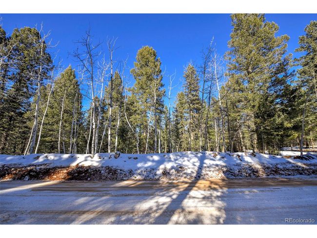 810 Ridge Rd, Home with 0 bedrooms, 0 bathrooms and null parking in Divide CO | Image 4