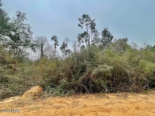 0 Tamarac Dr, Marianna, FL, 32448 | Card Image