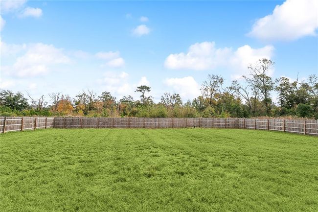 Backyard | Image 15