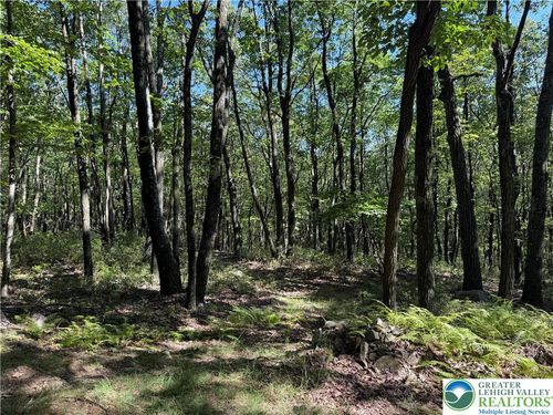 14 Berry Run Dr, Jim Thorpe, PA, 18229 | Card Image