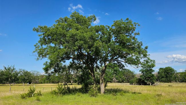 1205 Elm Creek Rd, Home with 0 bedrooms, 0 bathrooms and null parking in Medina TX | Image 7