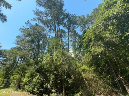 Lot 2633 Sycamore St, Ocean Springs, MS, 39564 | Card Image