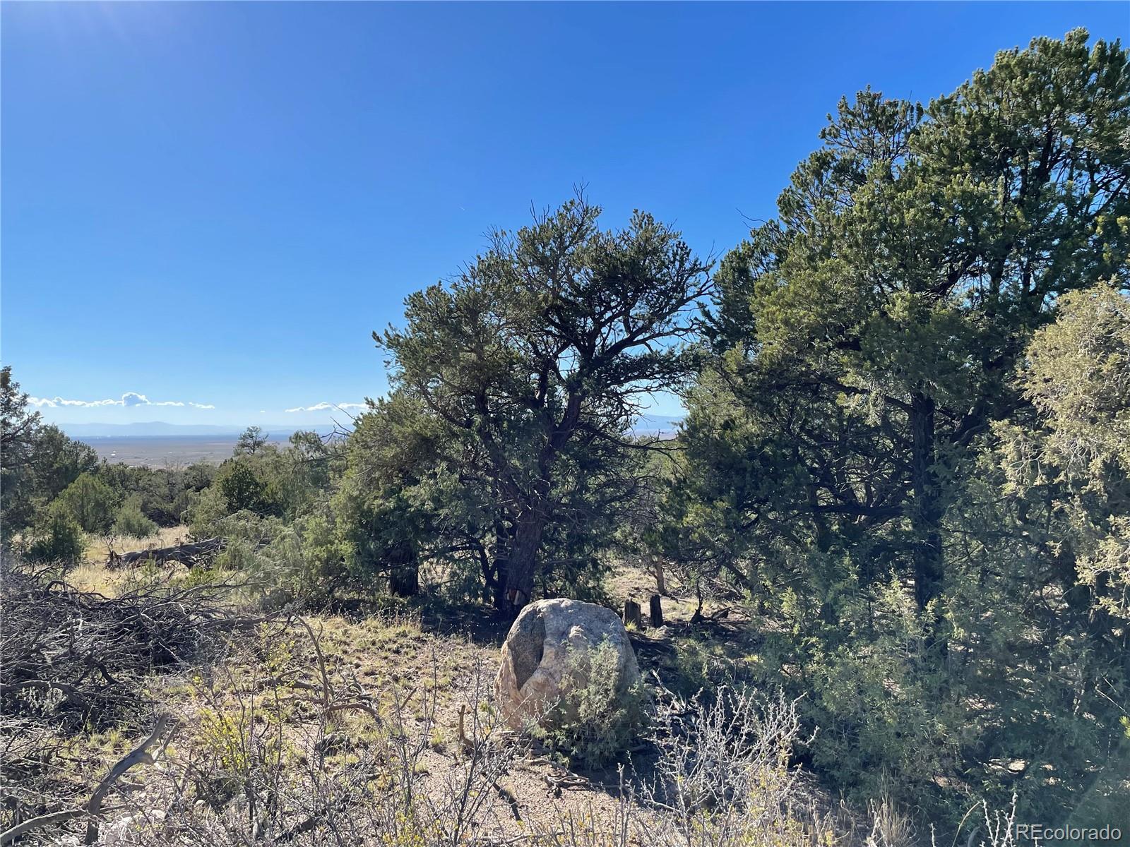 Land in Crestone 2