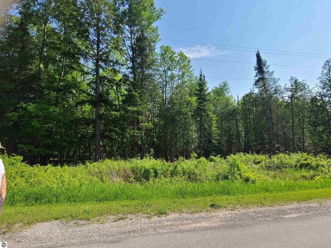 1281 W Trask Lake Rd, Home with 0 bedrooms, 0 bathrooms and null parking in Barton City MI | Image 4